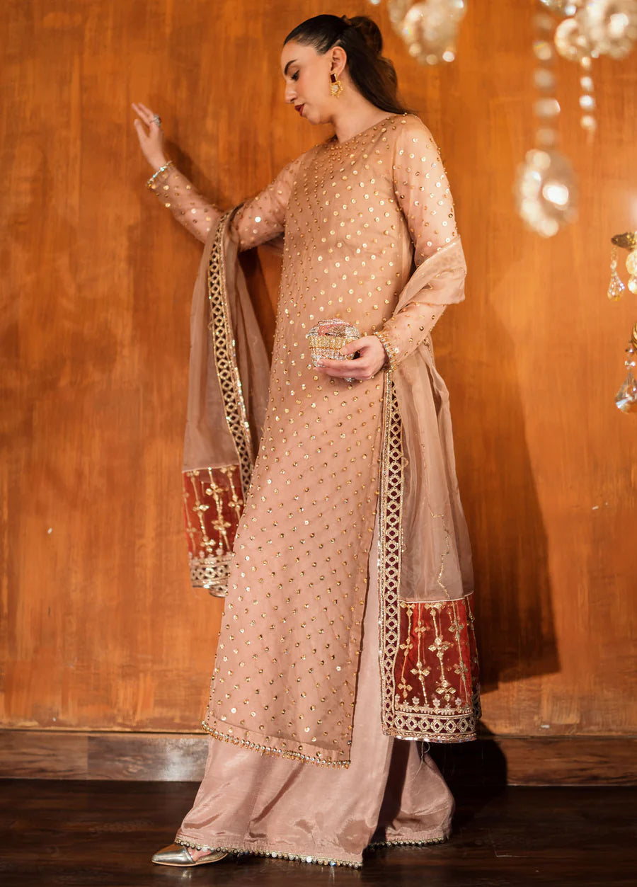 Sahane Festive Organza 3pcs Suit